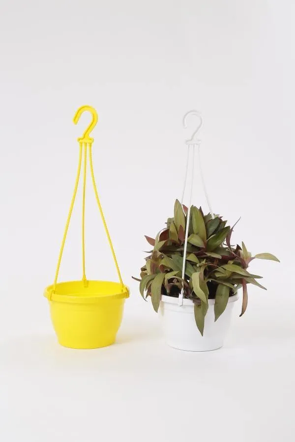 7 Inch Hanging Pot Yellow