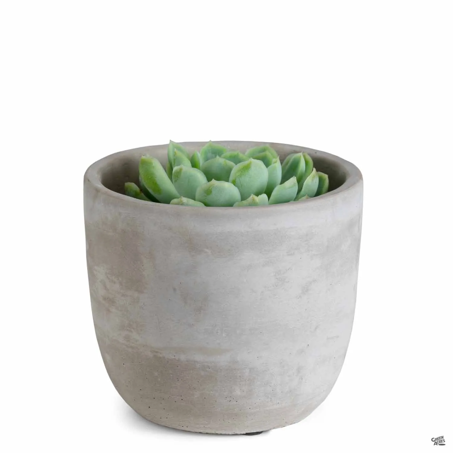 Bell Curve Plant Vessel