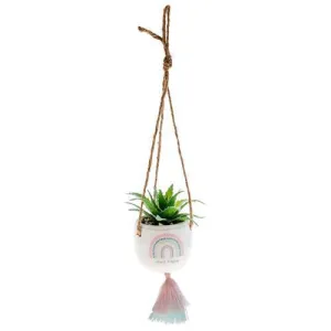 Choose Happy Hanging Succulent