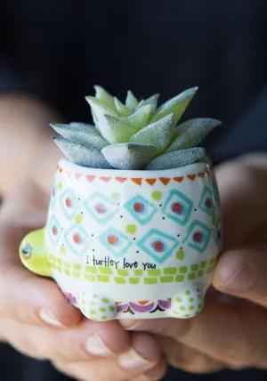Critter Succulent Turtle