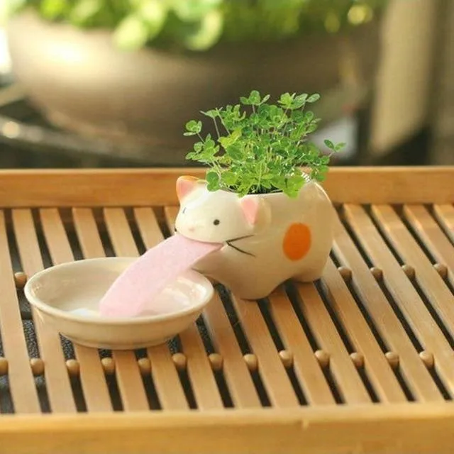 Drinking animal planters