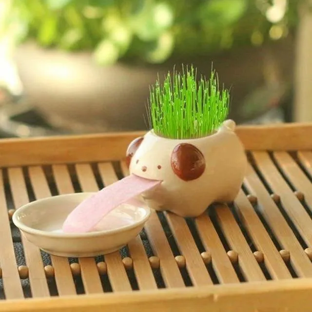 Drinking animal planters