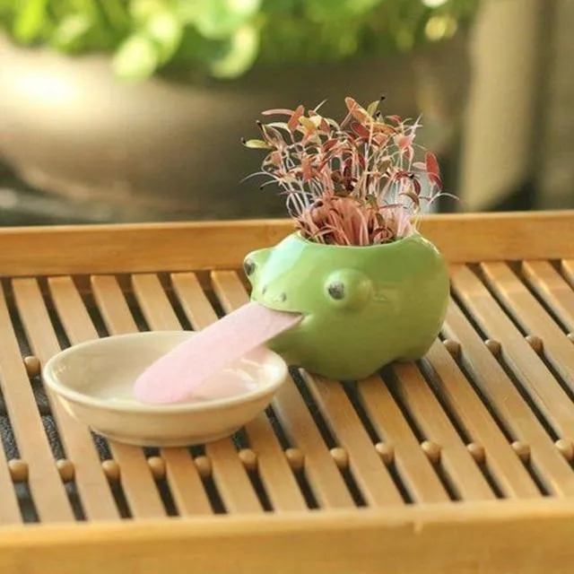 Drinking animal planters