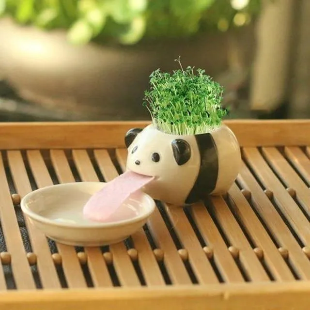 Drinking animal planters