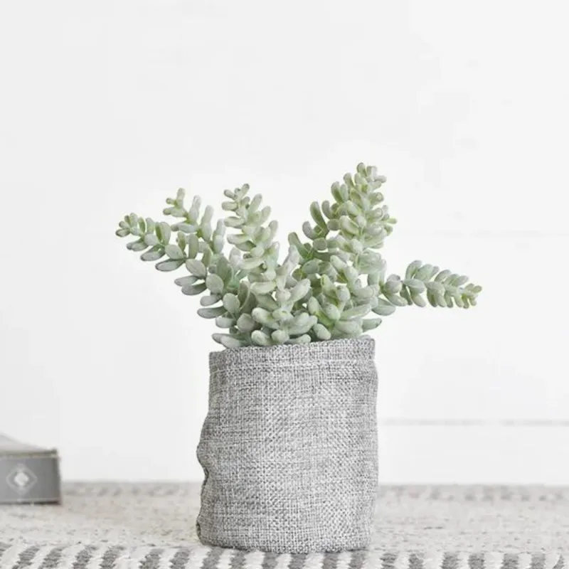 Gunny Bag Succulent