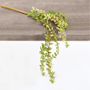 Mini Hanging Succulent Pick