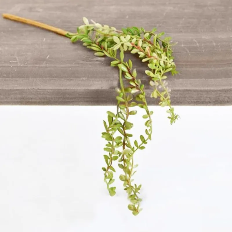 Mini Hanging Succulent Pick
