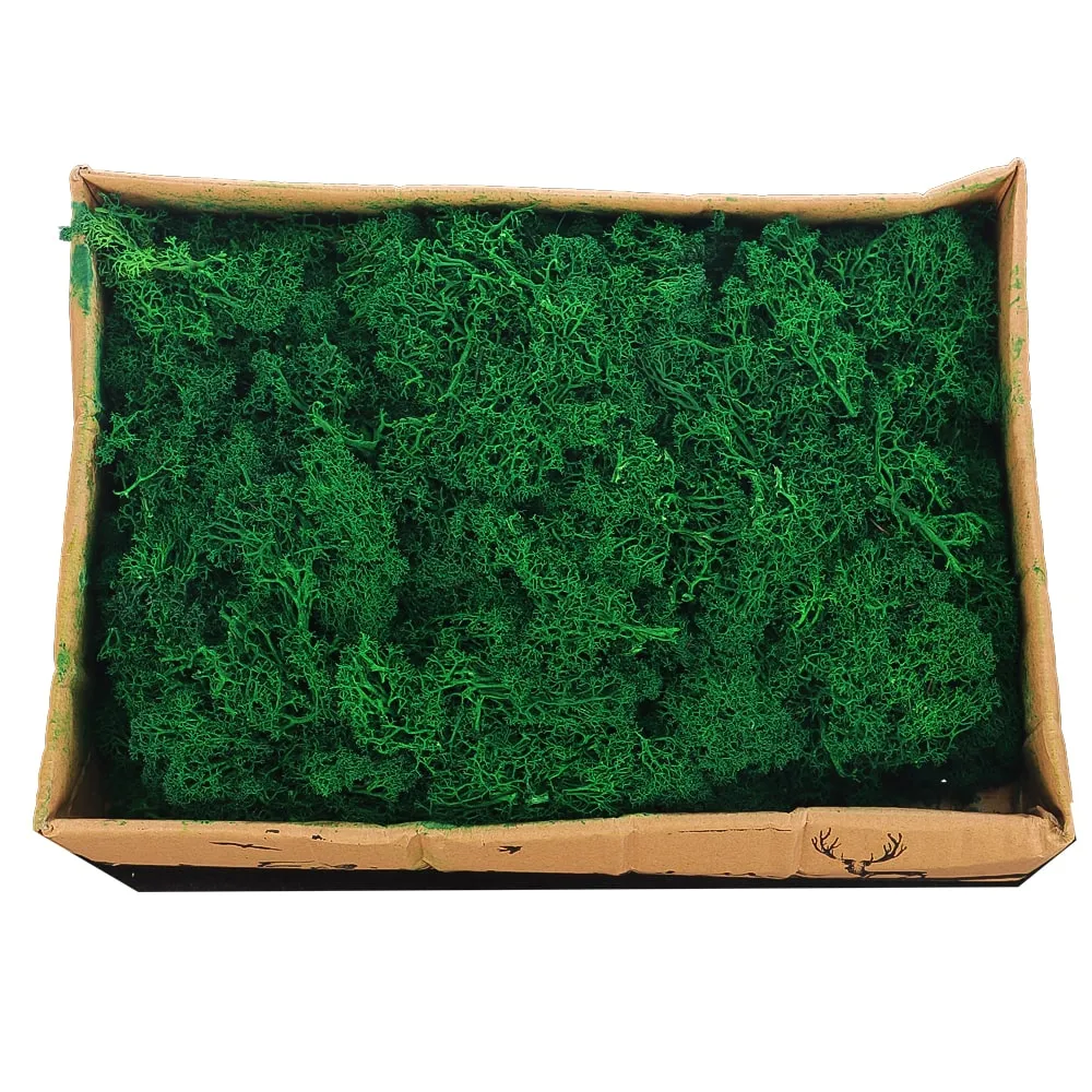 Natural Preserved Fresh Moss Grass