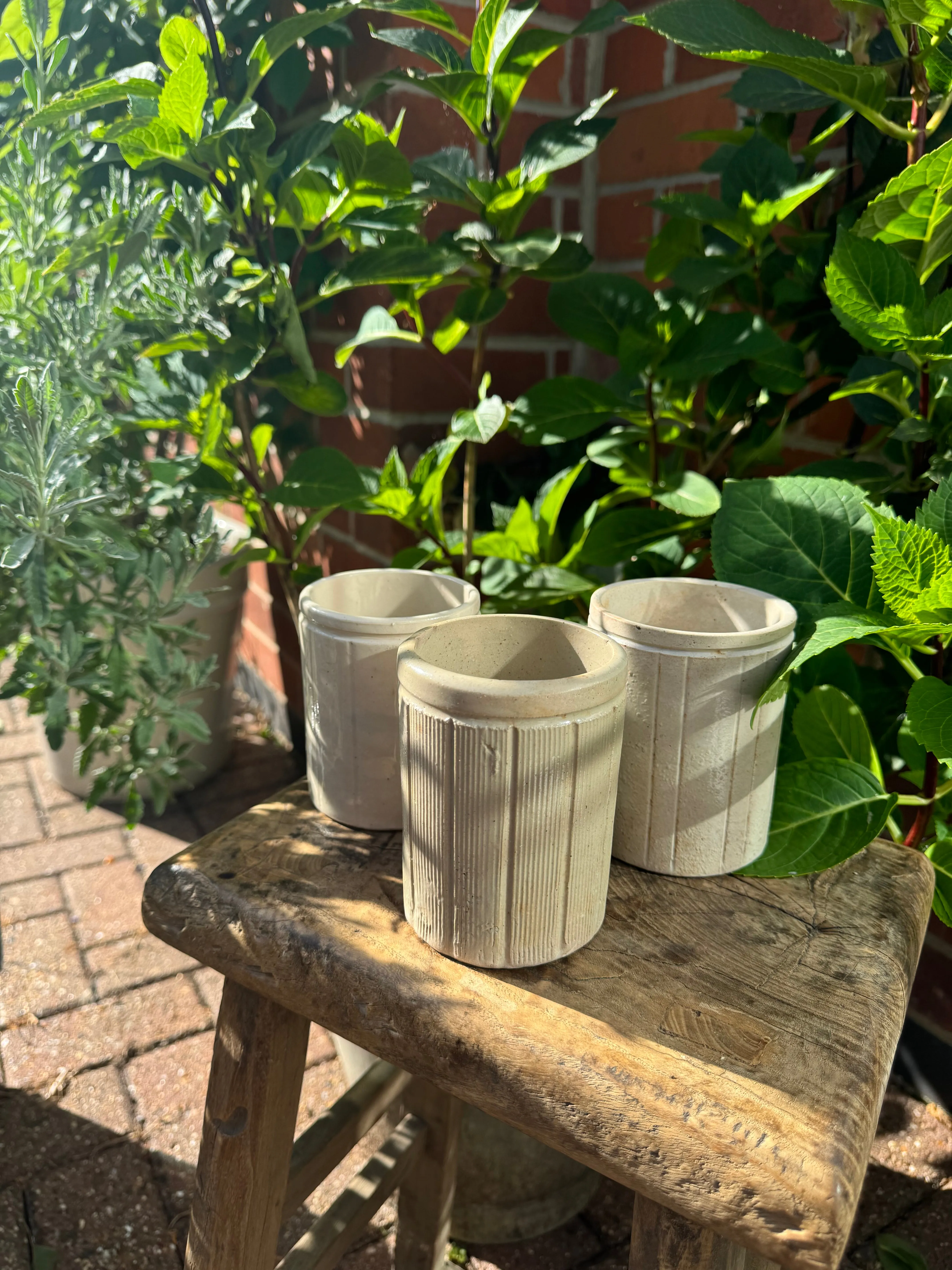 Vintage Jam Pot - 2 Sizes