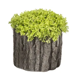 X-Large Round Shaped Concrete Pot with Bark-Like Detailing