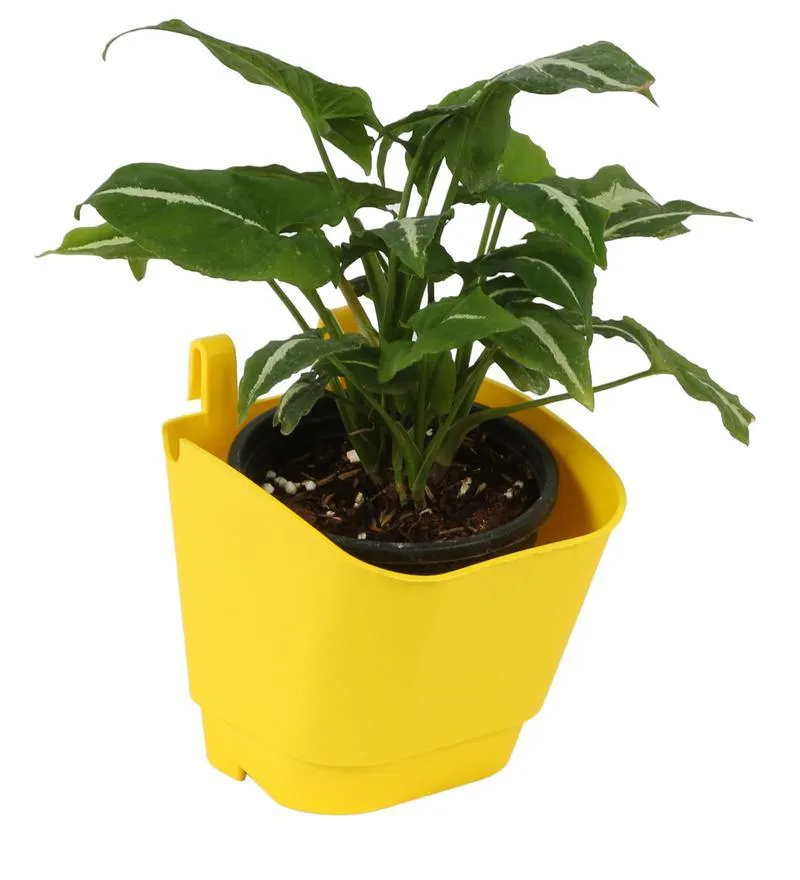 Yellow Vertical Hook Pot